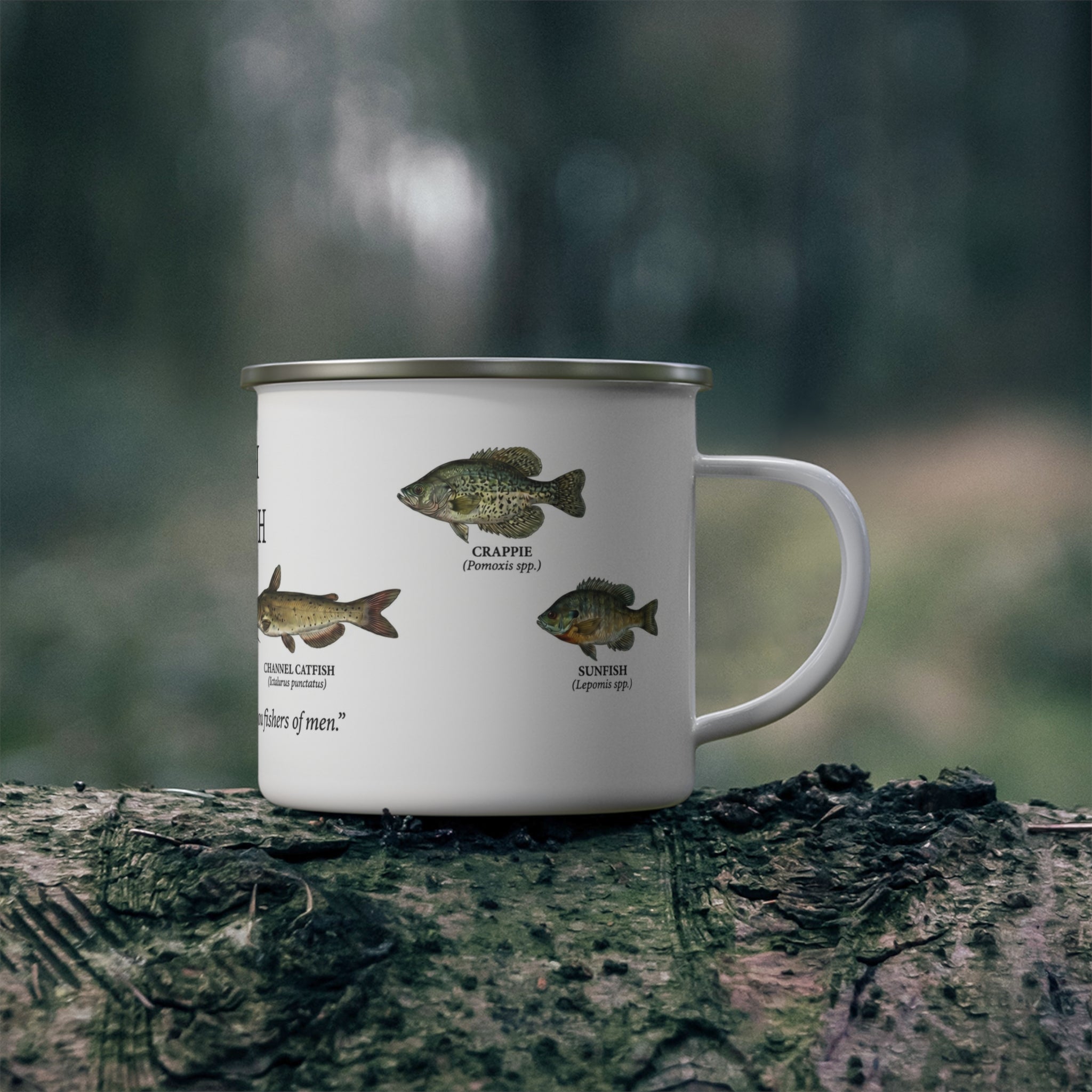 Fish of the South enamel camping mug | Southern freshwater fish chart, Bible verse