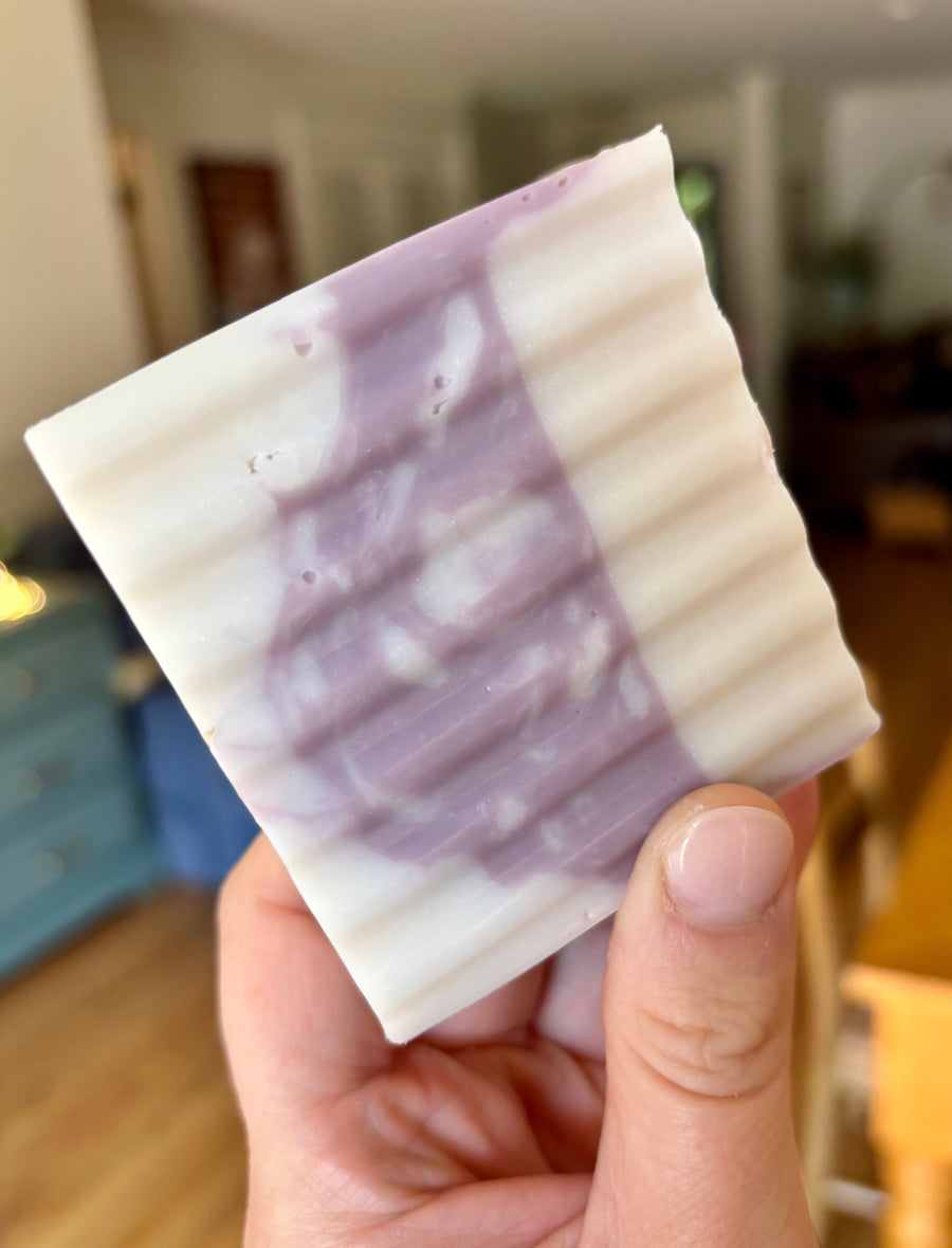 Purple and white Wildcat Swirl lavender goat's milk and shea butter soap bar